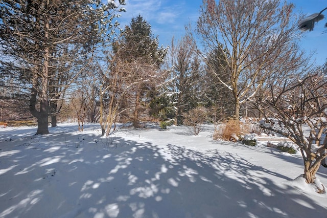 view of yard layered in snow