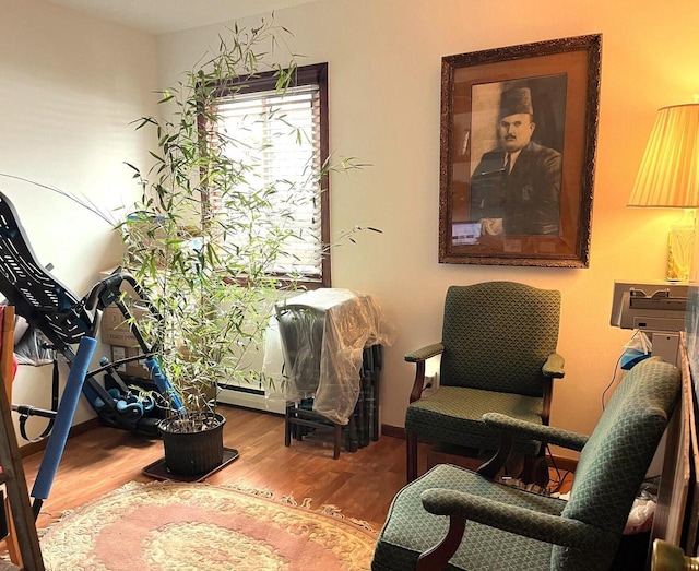 sitting room with hardwood / wood-style flooring