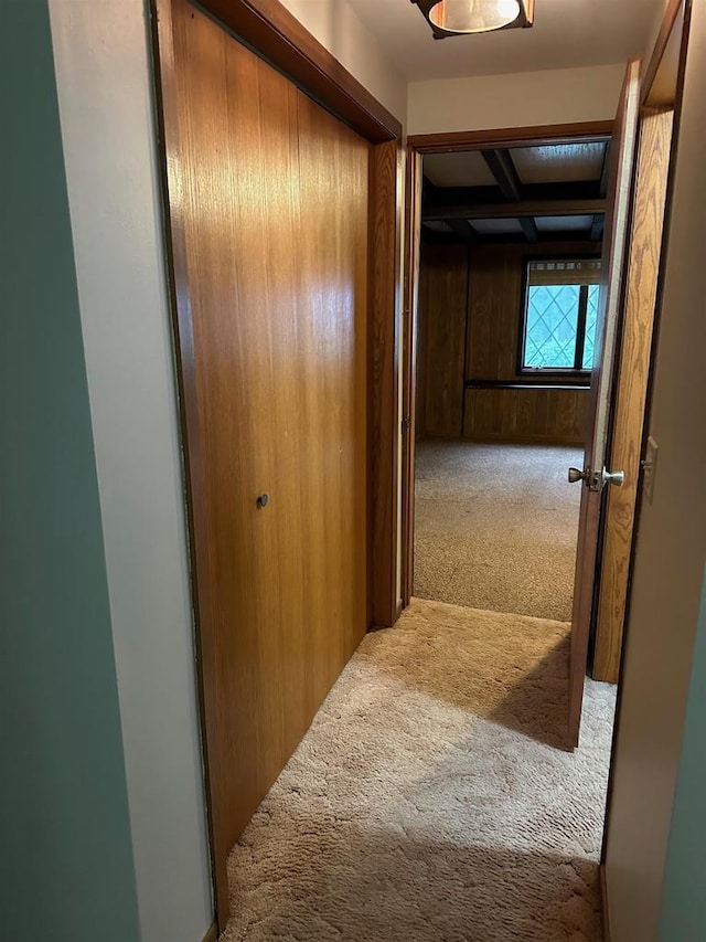 hall featuring beam ceiling, wood walls, and carpet flooring