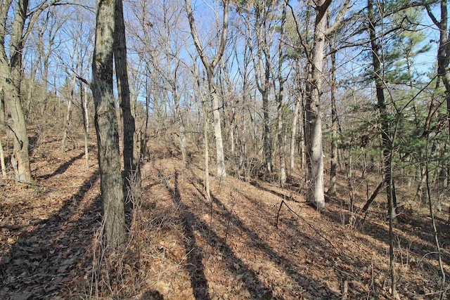 view of nature with a view of trees