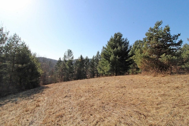 view of nature featuring a wooded view