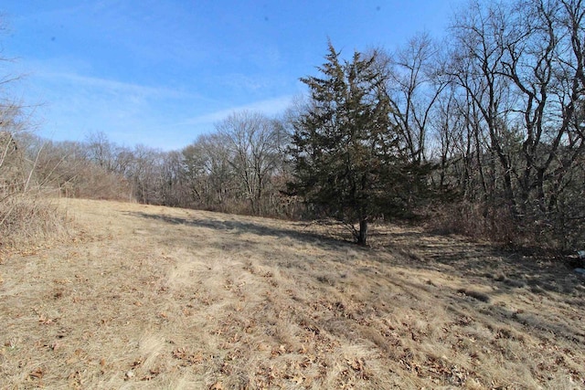 view of local wilderness