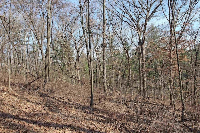 view of landscape with a forest view