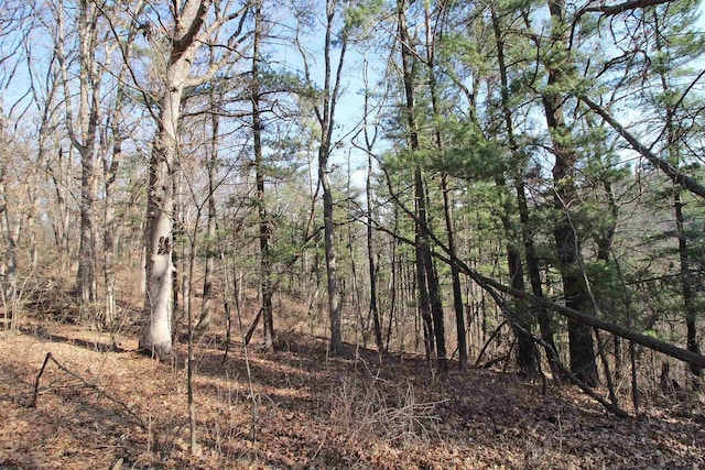 view of nature with a wooded view