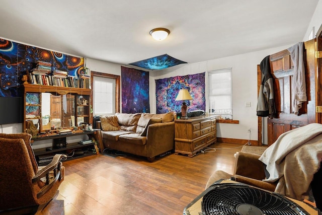 living room with hardwood / wood-style flooring