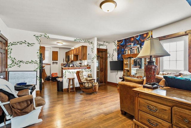 living room featuring hardwood / wood-style floors