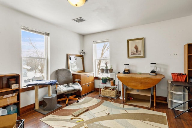 office space featuring dark hardwood / wood-style flooring and plenty of natural light