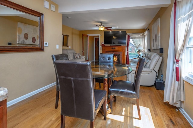 dining area with ceiling fan, a fireplace, and light hardwood / wood-style flooring