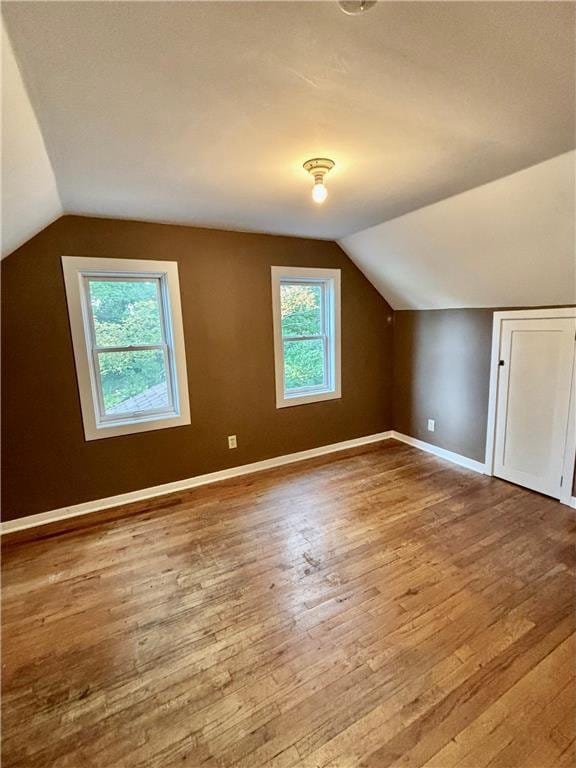 bonus room with hardwood / wood-style flooring, lofted ceiling, and a healthy amount of sunlight