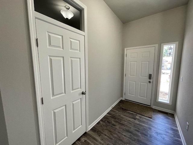 foyer with plenty of natural light and dark hardwood / wood-style floors