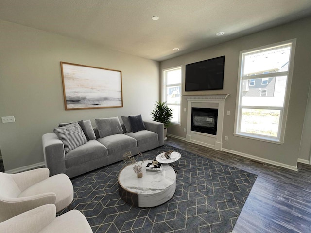 living room with dark wood-type flooring