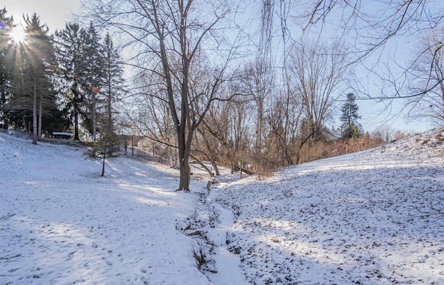 view of snowy yard