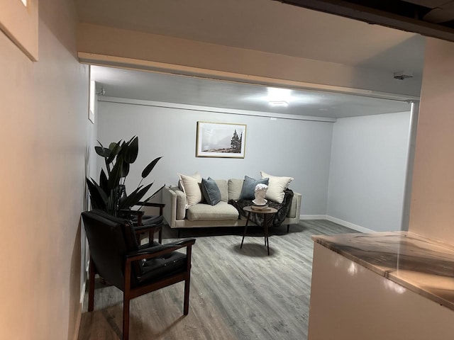 living room featuring hardwood / wood-style floors