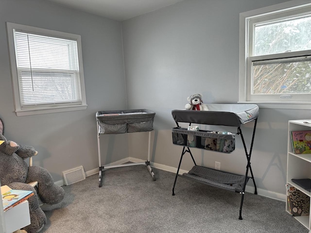 miscellaneous room with a wealth of natural light and carpet flooring