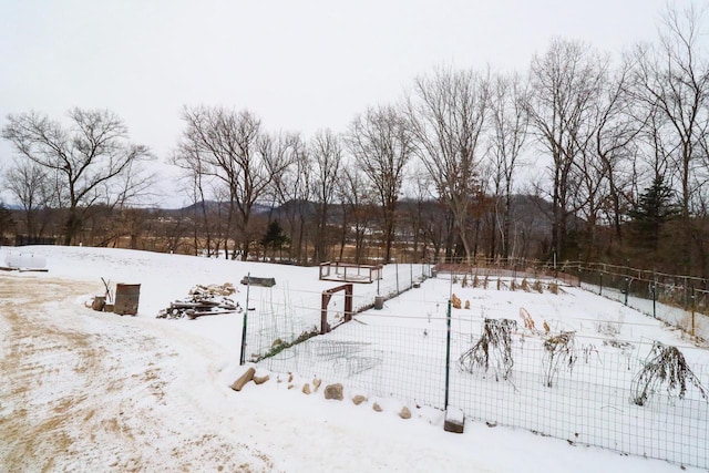 view of yard covered in snow