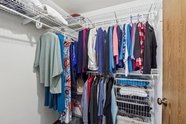 view of walk in closet