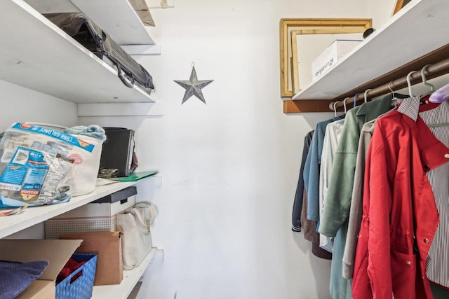 view of spacious closet