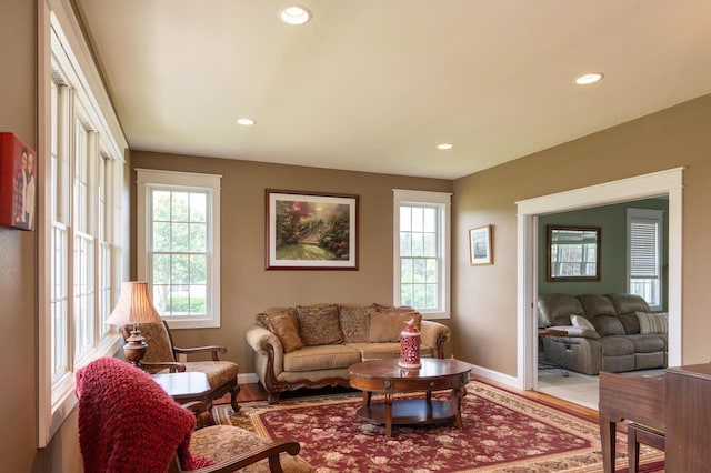 living room featuring wood-type flooring