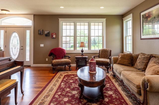 living room with wood-type flooring