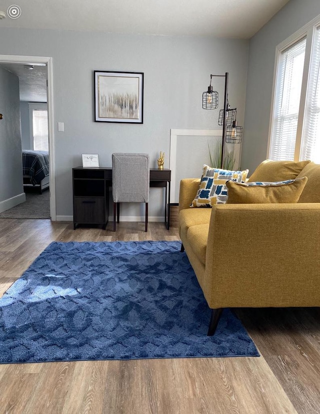 living room featuring hardwood / wood-style flooring