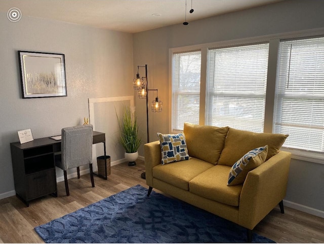 living room featuring wood-type flooring