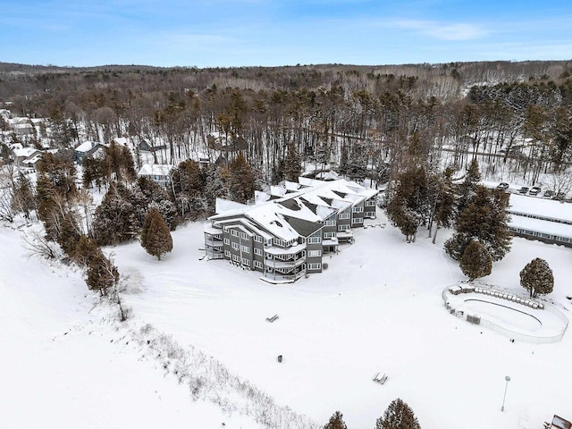 view of snowy aerial view