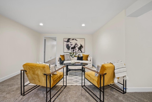 living area featuring carpet flooring