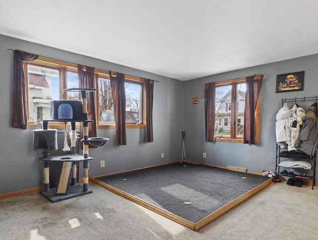 132 E Carroll St, Portage, WI 53901 - exercise room with plenty of natural light, carpet flooring, and baseboards