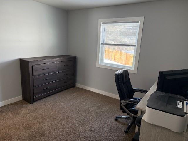 home office with light colored carpet