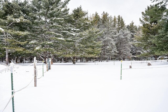 6050 Cth Y, Hazelhurst, WI 53531 - view of yard layered in snow
