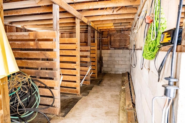 6050 Cth Y, Hazelhurst, WI 53531 - view of horse barn