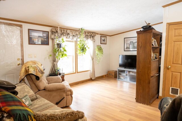 6050 Cth Y, Hazelhurst, WI 53531 - living room with light hardwood / wood-style flooring, ornamental molding, and a textured ceiling