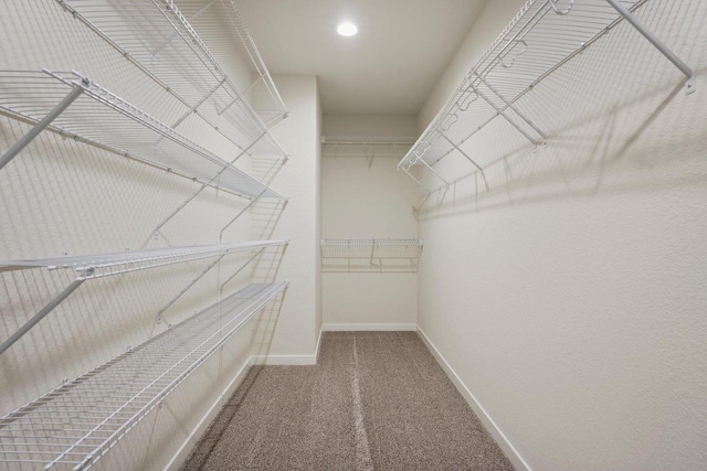 walk in closet with carpet