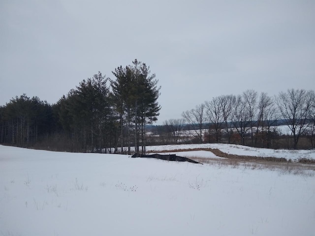 view of snowy yard