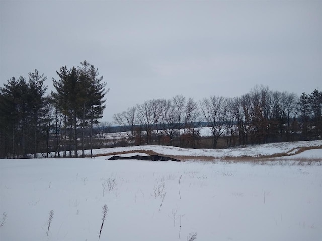 view of snowy yard