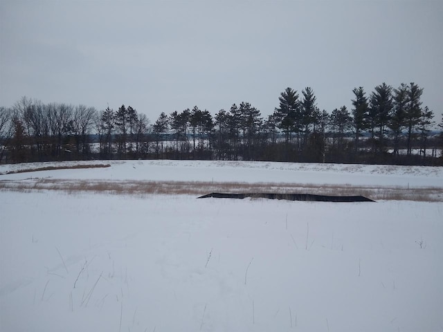 view of yard layered in snow