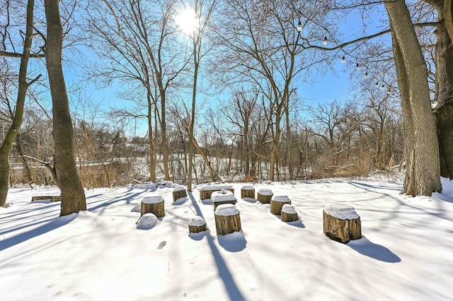 view of snowy yard