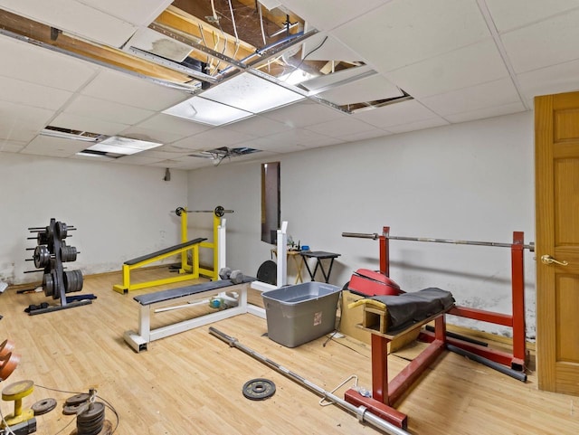 exercise area featuring a drop ceiling and hardwood / wood-style floors