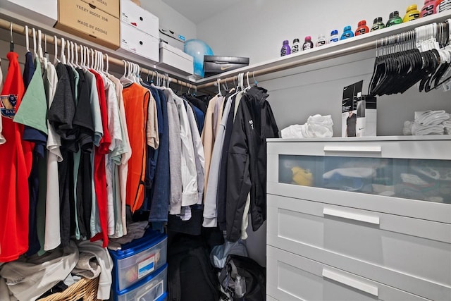 view of spacious closet