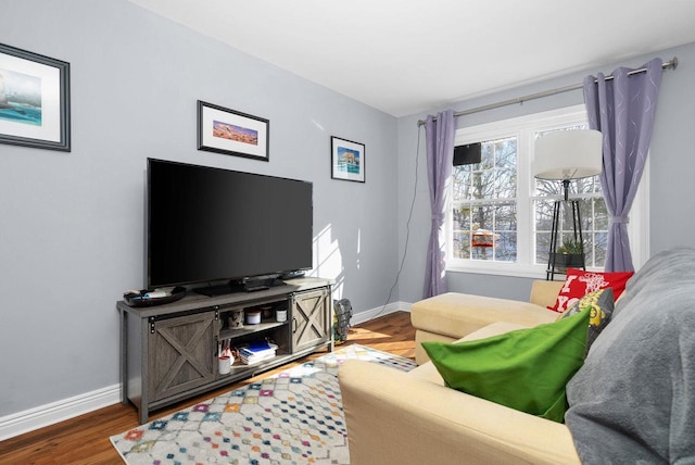 living room with wood-type flooring