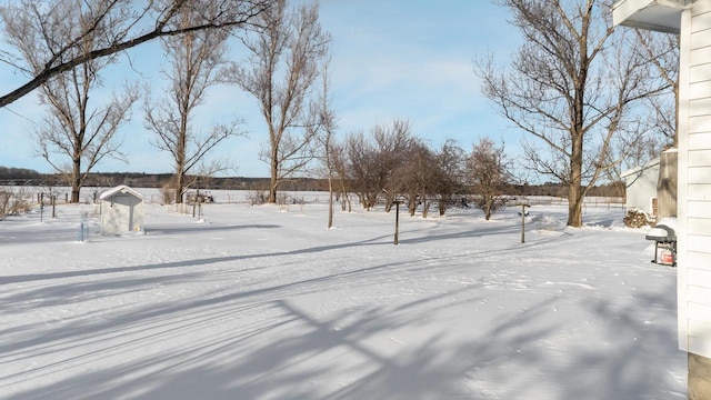 view of yard covered in snow