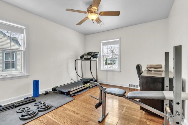 exercise room featuring hardwood / wood-style flooring and ceiling fan