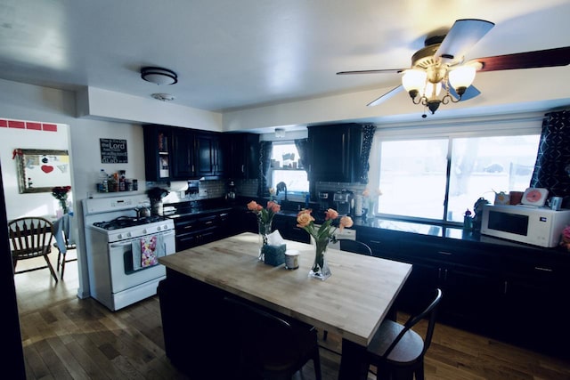 kitchen featuring white appliances, ceiling fan, and dark hardwood / wood-style flooring