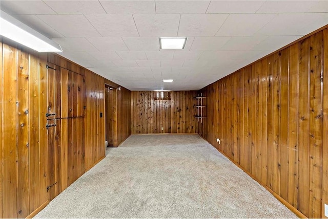 basement featuring wood walls and carpet floors