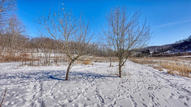 view of yard covered in snow