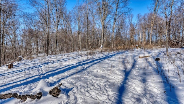 view of yard covered in snow