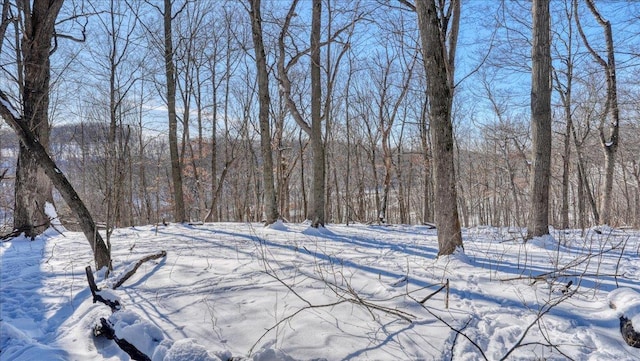 view of yard covered in snow