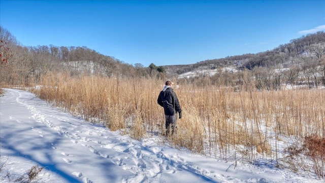 view of snowy landscape