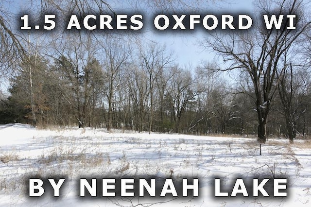 L1 N 2nd Ct, Oxford WI, 53952 land for sale