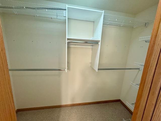 walk in closet featuring carpet flooring